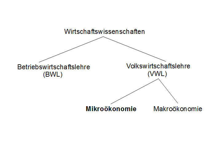 Abgrenzung der Mikro- von der Makrokonomie