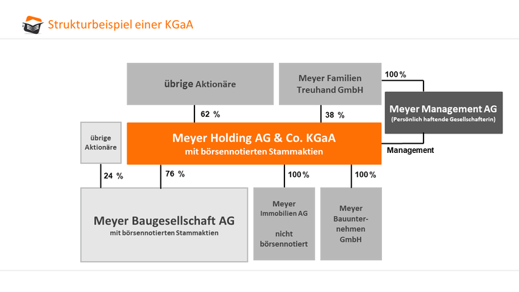 Schematische Darstellung einer KGaA